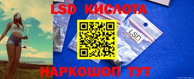 прущие грибы Пугачёв