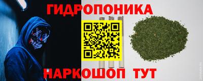 прущие грибы Пугачёв