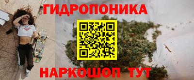 прущие грибы Пугачёв