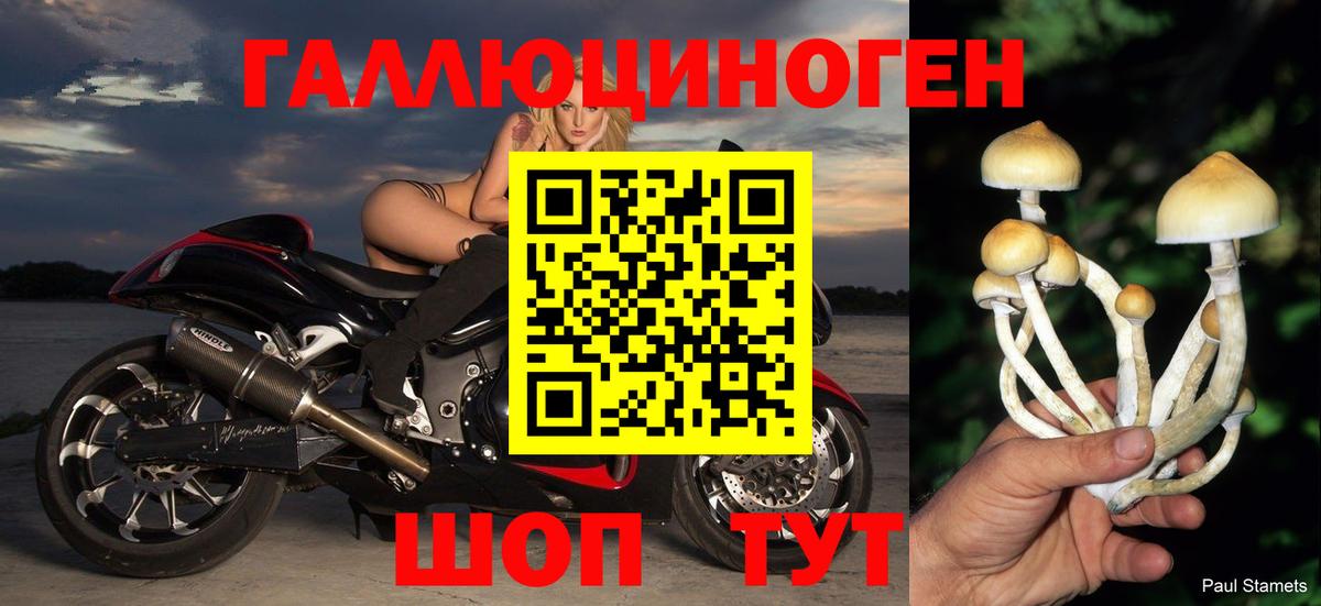 Псилоцибиновые грибы прущие грибы Саров